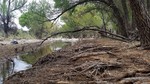 photo thumbnail #10