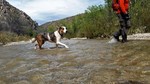 photo thumbnail #14