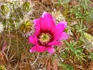 photo thumbnail #12