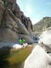 photo thumbnail #15