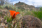 photo thumbnail #6