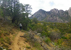 photo thumbnail #4
