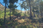 photo thumbnail #6