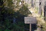photo thumbnail #15
