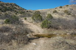photo thumbnail #11