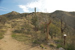 photo thumbnail #7