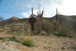 photo thumbnail #8