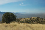 photo thumbnail #12