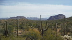 photo thumbnail #1
