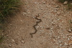photo thumbnail #15