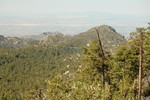 photo thumbnail #12