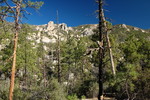 photo thumbnail #8