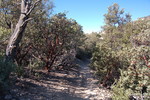 photo thumbnail #8