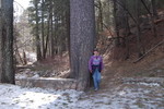 photo thumbnail #7
