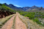 photo thumbnail #12