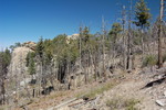 photo thumbnail #7