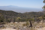 photo thumbnail #11