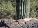 photo thumbnail #3