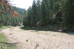 photo thumbnail #10