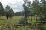 photo thumbnail #11