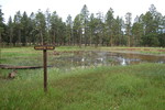 photo thumbnail #4