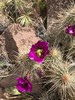 photo thumbnail #14