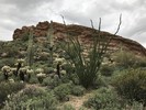 photo thumbnail #4
