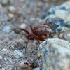 photo thumbnail #3
