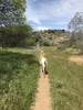 photo thumbnail #2