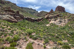 photo thumbnail #14