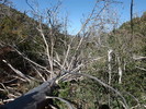 photo thumbnail #13