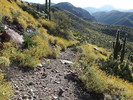 photo thumbnail #4