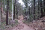 photo thumbnail #15