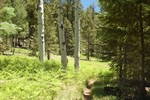 photo thumbnail #13