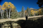 photo thumbnail #7