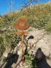 photo thumbnail #1
