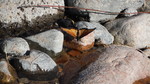 photo thumbnail #14