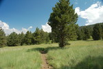 photo thumbnail #11