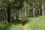 photo thumbnail #7