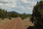 photo thumbnail #12
