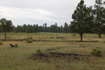 photo thumbnail #12
