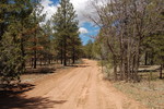 photo thumbnail #11