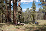 photo thumbnail #13