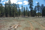 photo thumbnail #7