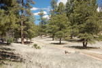photo thumbnail #8