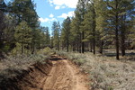 photo thumbnail #13