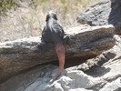 photo thumbnail #1