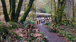 photo thumbnail #11