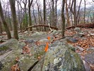 photo thumbnail #8