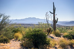 photo thumbnail #12
